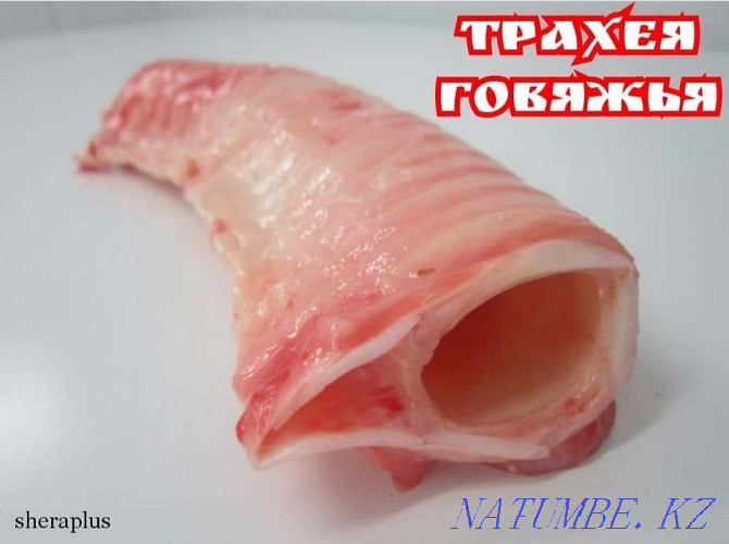 Трахея говяжья - корм лакомство для собак и кошек Астана - изображение 1