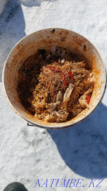 Waste food for dogs, cats and pets Astana - photo 1