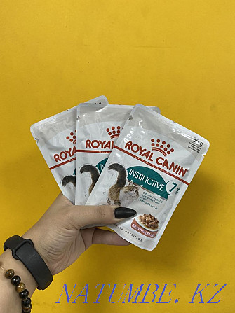 Wet food for cats over 7 years old Royal Canin Astana - photo 1