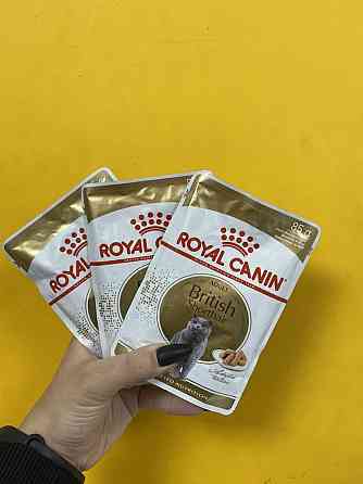 Влажный корм для кошек Британской породы Роял Канин (Royal Canin) Astana