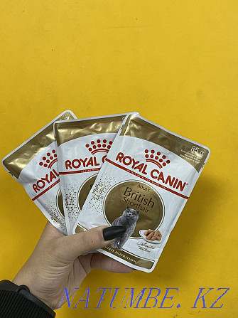 Wet food for cats of the British breed Royal Canin (Royal Canin) Astana - photo 1