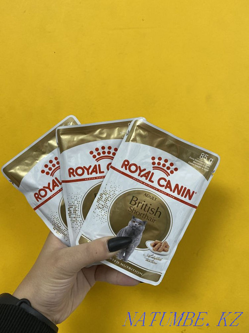 Влажный корм для кошек Британской породы Роял Канин (Royal Canin) Астана - изображение 1