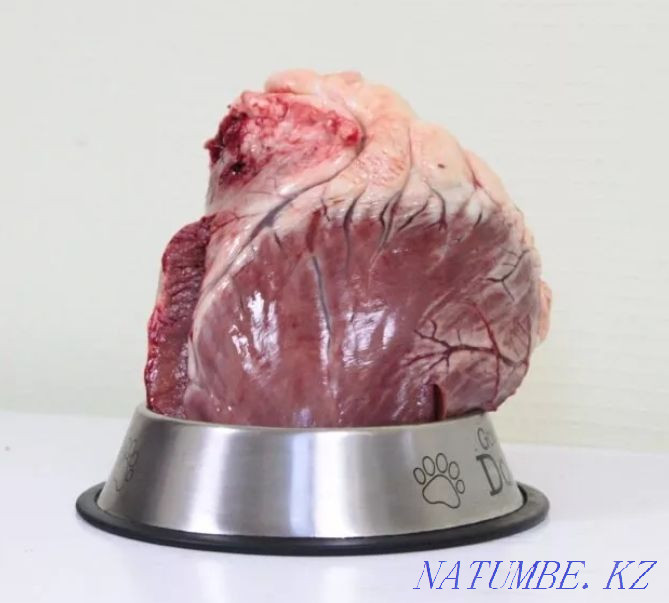 Whole beef heart - delicacy food for dogs and cats Almaty - photo 1