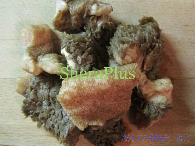 Beef tripe pieces - natural food for dogs and cats Almaty - photo 1