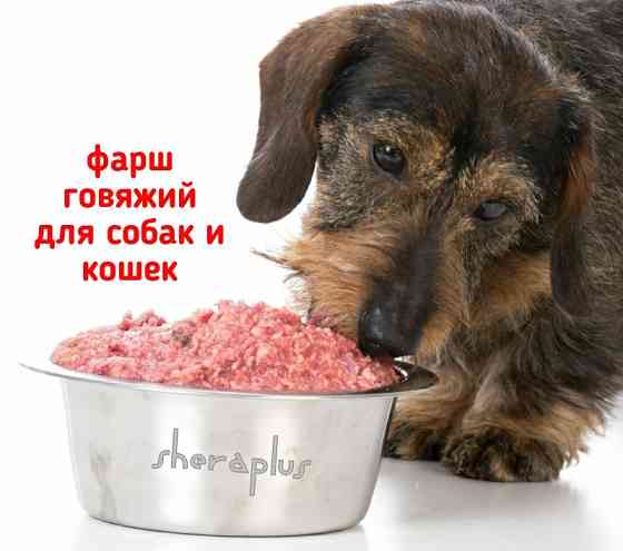 Фарши из говядины для собак и кошек - корм натуральный Almaty