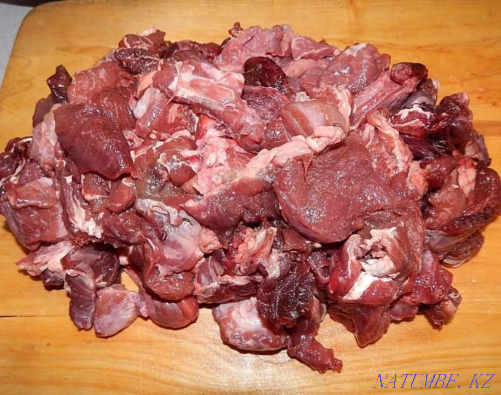 Meat food for dogs and cats Almaty - photo 1