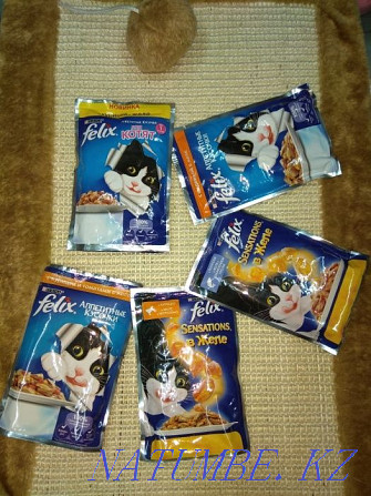 "Action" Felix pouch wet food for your cats Almaty - photo 1