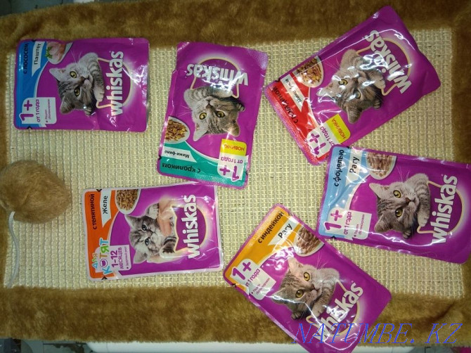 Хӯроки тар Whiskas Pouch барои гурбаҳои шумо Алматы - photo 2