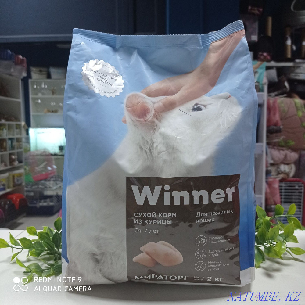 Winner dry food for older cats, dry food for older cats Astana - photo 1
