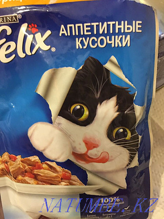 Обмен на корм для кошек Астана - изображение 1