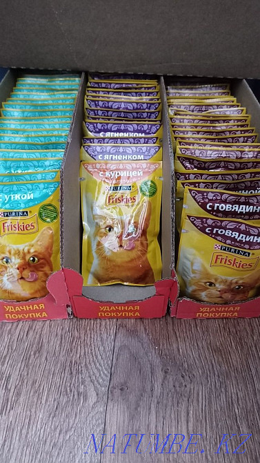 Sell cat food Semey - photo 3