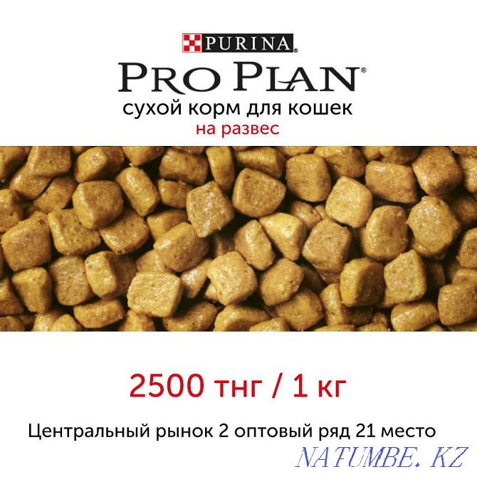 Purina Pro Plan Dry Cat Food Astana - photo 1