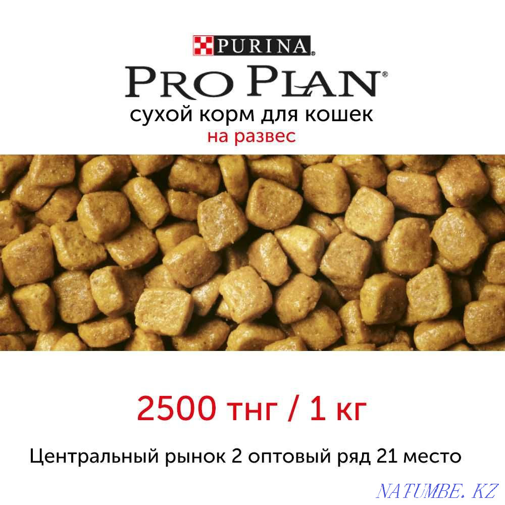 Сухой корм для кошек Purina Pro Plan Астана - изображение 1