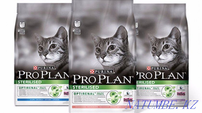 Корм для котак Pro plan Алматы - photo 1