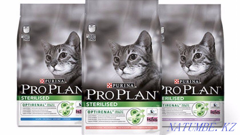 Корм для кошек Pro plan Алматы - изображение 1