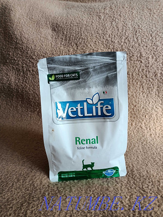 Farmina Vet Life Renal 400 g, dry food for cats with kidney disease Almaty - photo 1