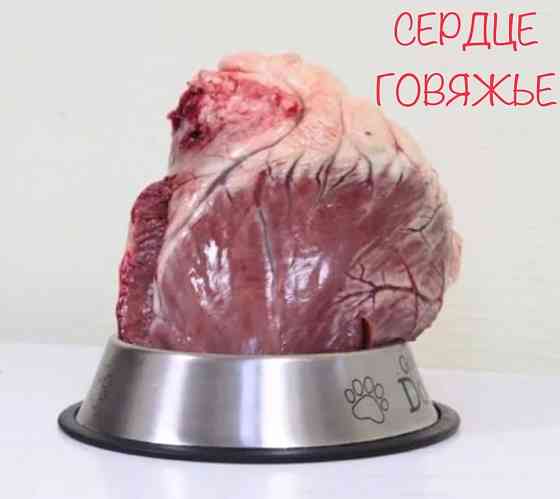 Сердце говяжье - натуральный корм для собак и кошек Алматы