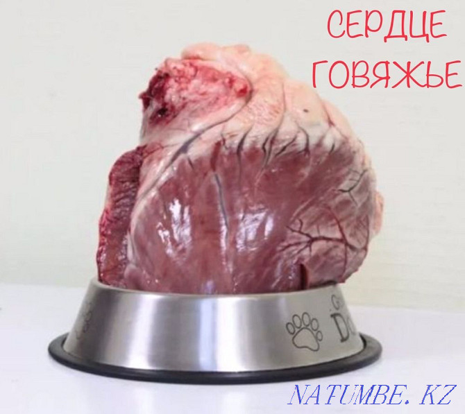 Beef heart - natural food for dogs and cats Almaty - photo 1