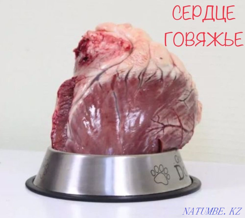Beef heart - natural food for dogs and cats Almaty - photo 1