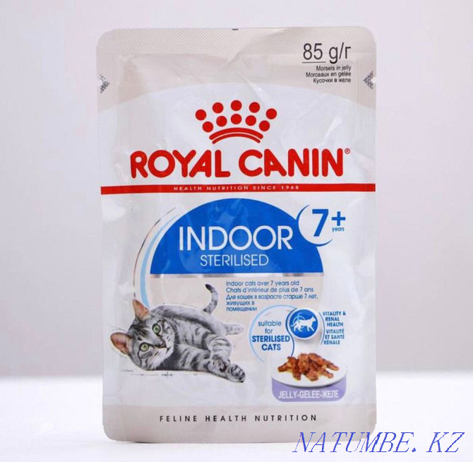 Wet food RC Indoor 7+ for domestic cats over 7 years old, in jelly or Astana - photo 1