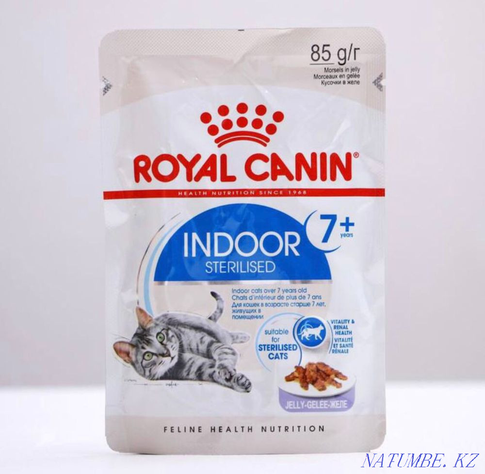 Wet food RC Indoor 7+ for domestic cats over 7 years old, in jelly or Astana - photo 1