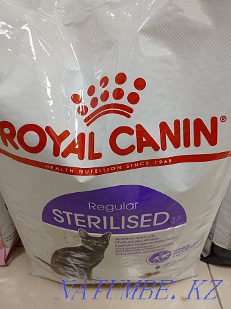 Мысықтарға арналған Royal Canin тағамы кг үшін 3200-ден басталады.  Астана - изображение 2