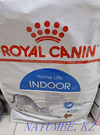 Мысықтарға арналған Royal Canin тағамы кг үшін 3200-ден басталады.  Астана - изображение 3