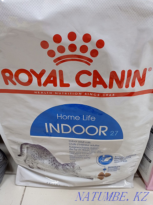 Мысықтарға арналған Royal Canin тағамы кг үшін 3200-ден басталады.  Астана - изображение 3