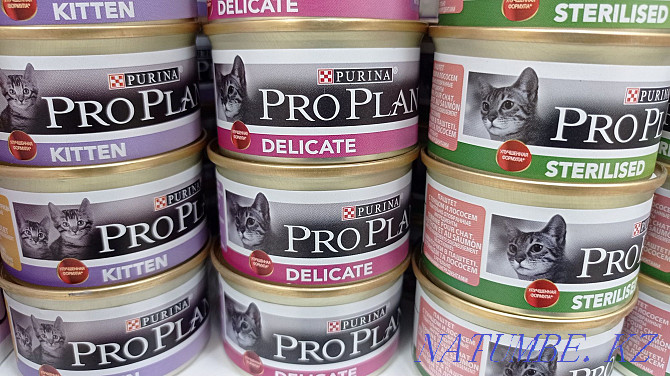Food for cats and kittens pro plan Astana - photo 1