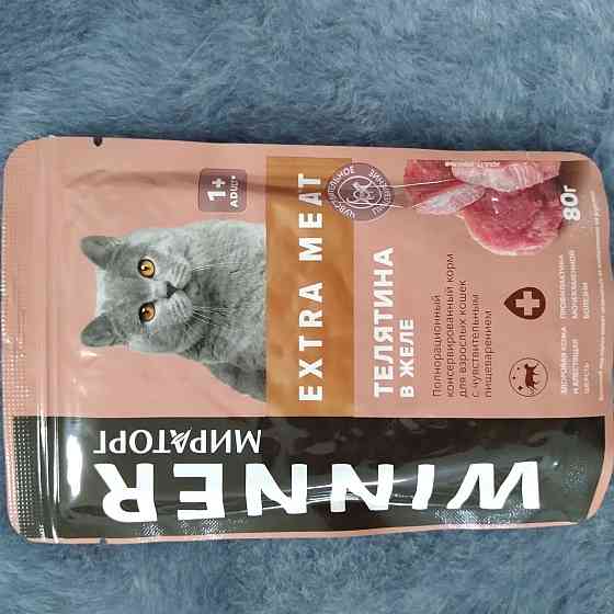 Жидкий корм для кошек с чувствительным пищеварением Виннер Астана