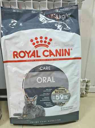 Корм для кошек Royal Canin Астана