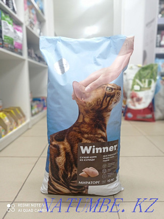 Dry food Winner for adult cats with chicken Winner Белоярка - photo 1