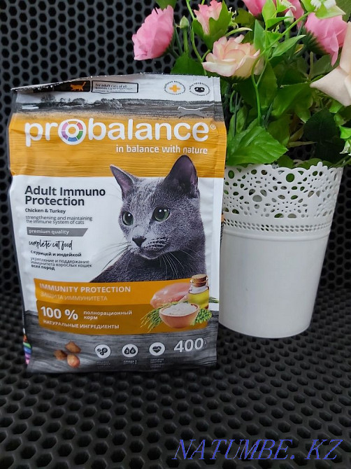 Dry cat food Probalance Astana - photo 1