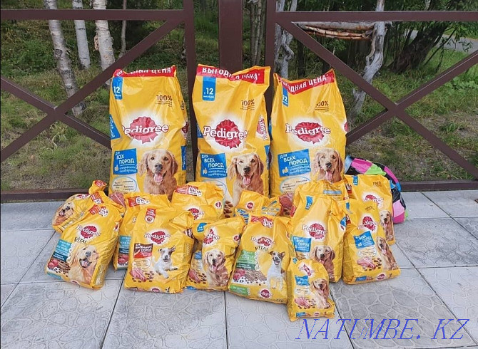 Food for dogs and cats. Ketikat, Chappi, Pedigri, Whiskas.. Болтирик шешен - photo 2