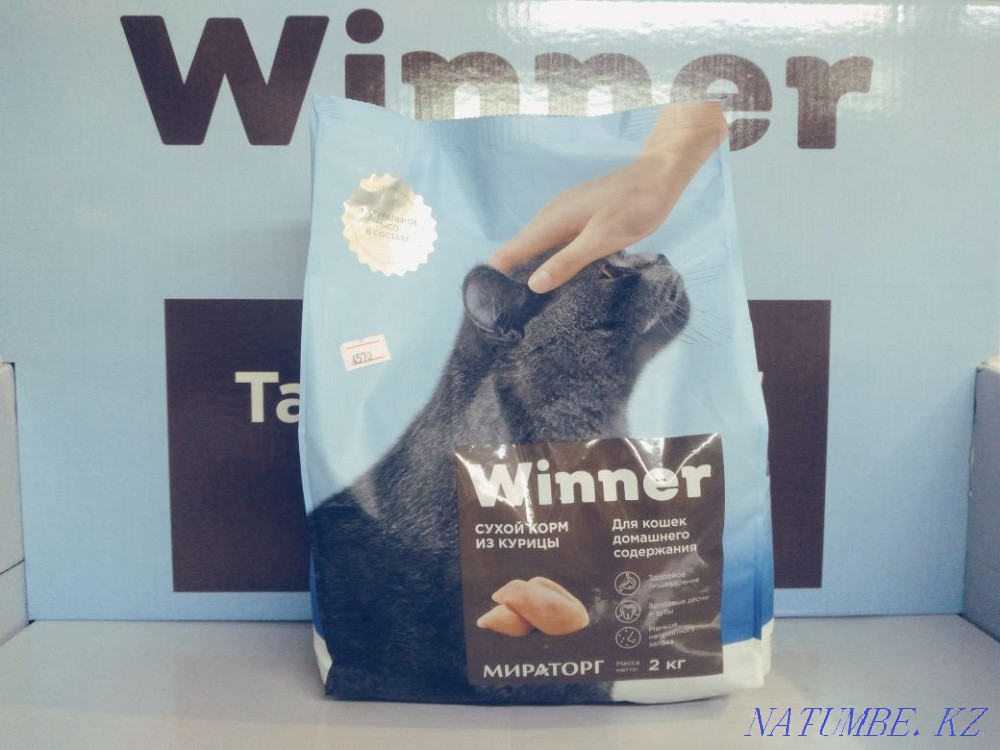 Winner homemade cat food Astana - photo 1