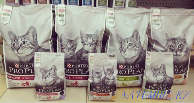 Dry food "ProPlan" for cats. Astana - photo 1