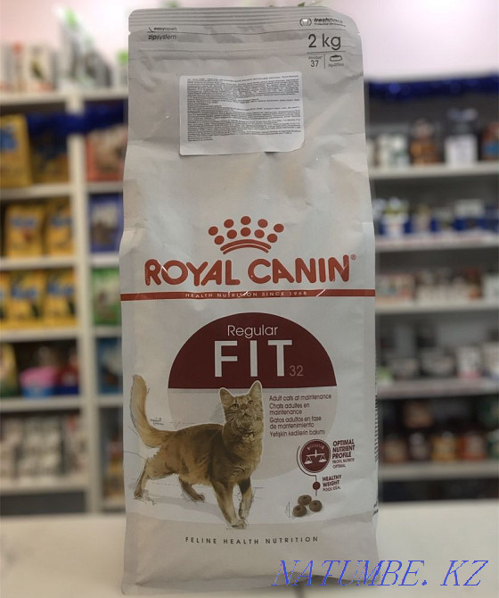 Food for moderately active cats Astana - photo 1