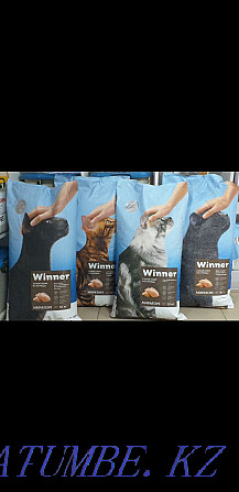 Winner cat food Astana - photo 1