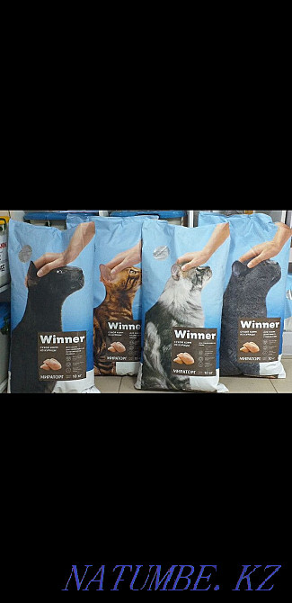 Winner cat food Astana - photo 1