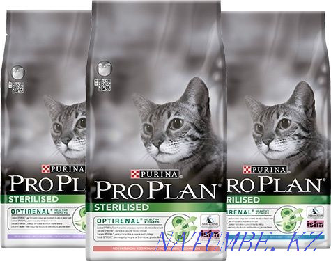 ProPlan food for cats, cats and kittens Almaty - photo 1