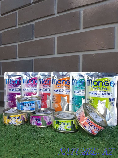 Wet cat food Monge Monge Astana - photo 1