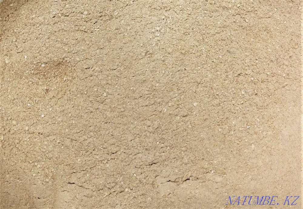 Корм для животных и птиц Астана - изображение 1