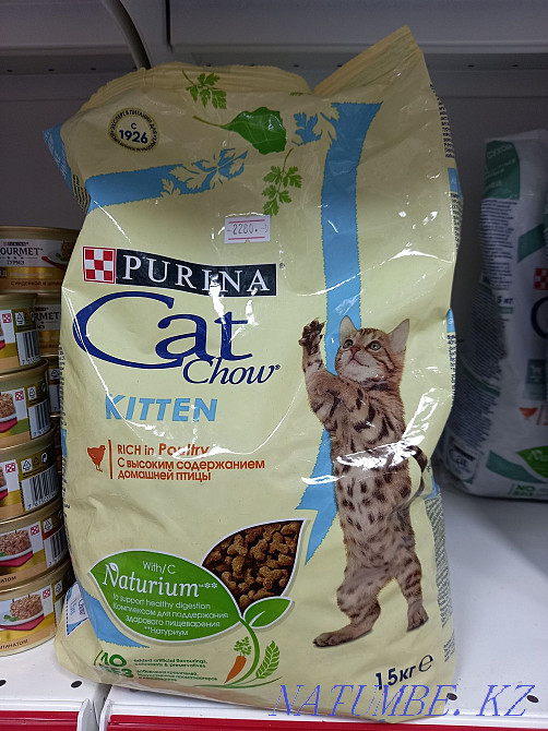 Сухой корм для котят 1,5кг с домашней птицей Астана - изображение 1