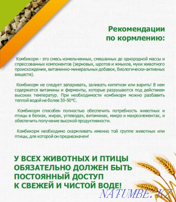 We sell feed for cattle, poultry, dogs, pigs, rabbits, etc. Ust-Kamenogorsk - photo 2