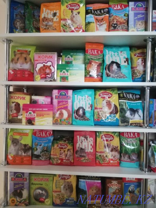 food for birds and rodents for sale Petropavlovsk - photo 2