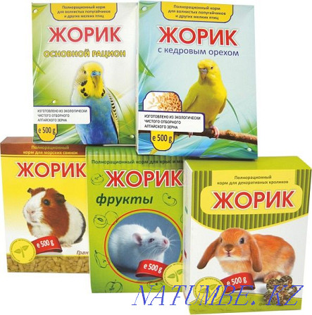 Food Zhorik for parrots and other birds with fruits. Delivery from the store Semey - photo 2