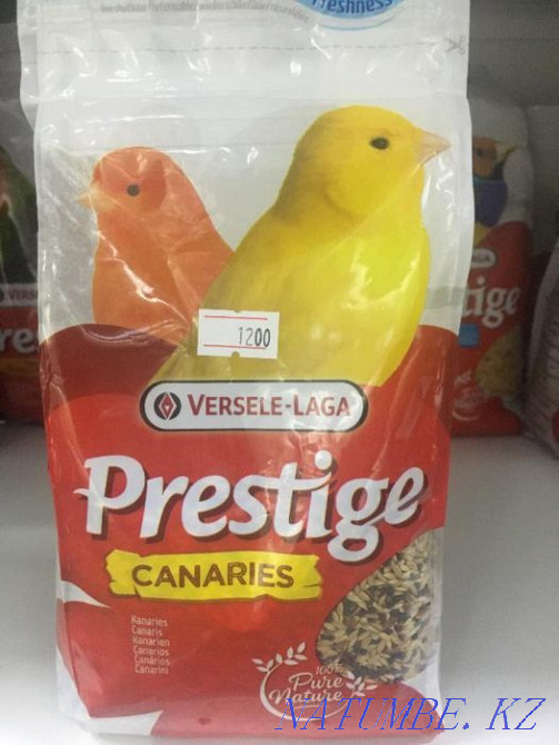 VERSELE-LAGA корм для птиц в "Живом Уголке" в Таугуле Алматы - изображение 3