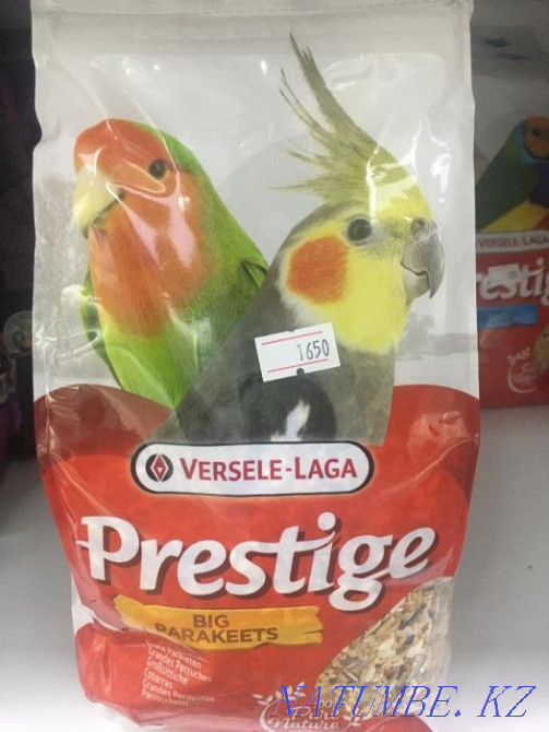 VERSELE-LAGA корм для птиц в "Живом Уголке" в Таугуле Алматы - изображение 4