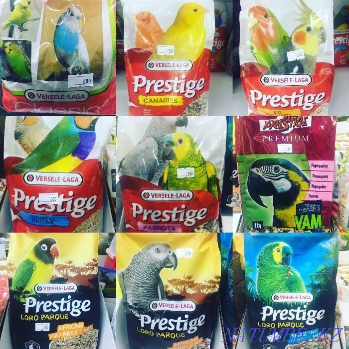 VERSELE-LAGA корм для птиц в "Живом Уголке" в Таугуле Алматы - изображение 2