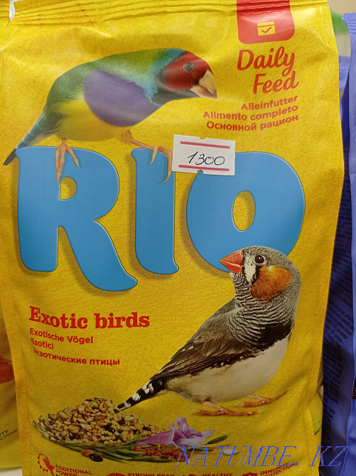 Корм для экзотических птиц 400гр. Астана - изображение 1